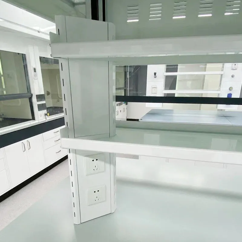 Chemical Laboratory Full Steel Exhaust Fume Hood