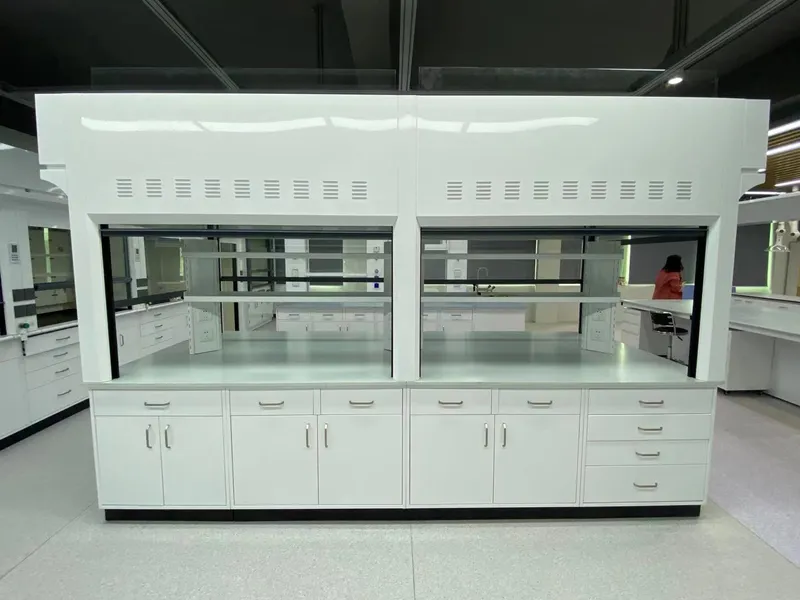 Chemical Laboratory Full Steel Exhaust Fume Hood